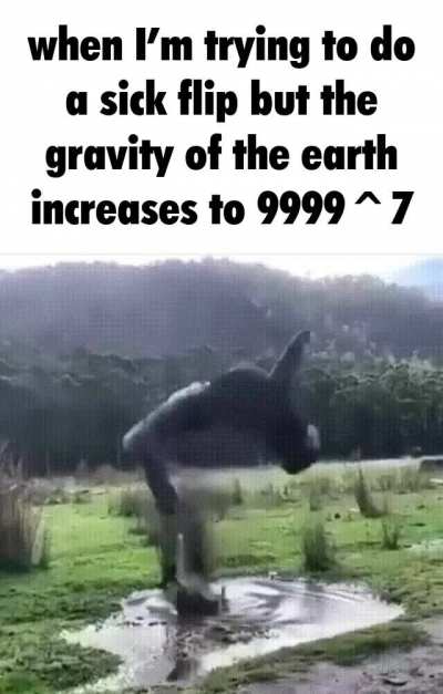 Shameless repost because I'm too dumb to backup my phone properly