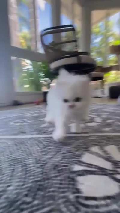You wanna fight..?