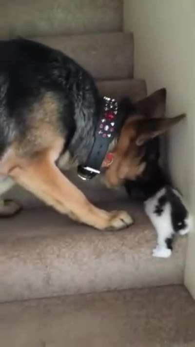 helping out little one..