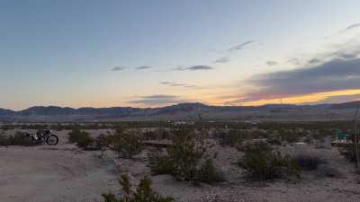Coyotes were singing this morning at sunrise