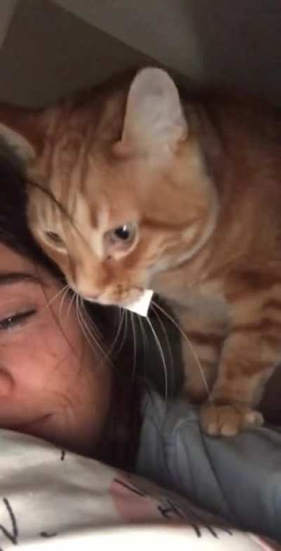 Touch tha Face.