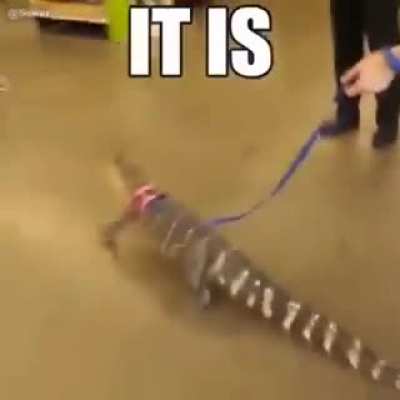 wednesrule