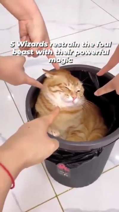 rule 