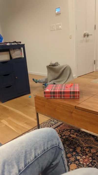 Saw a ghost over the holidays