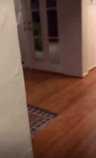 EEEEEEEEETT-