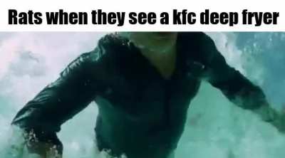 yes