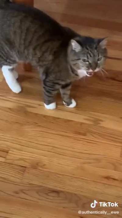 Get out of house