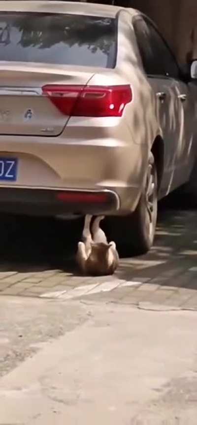 А не поздн<wbr>овато к лету готов<wbr>ится?