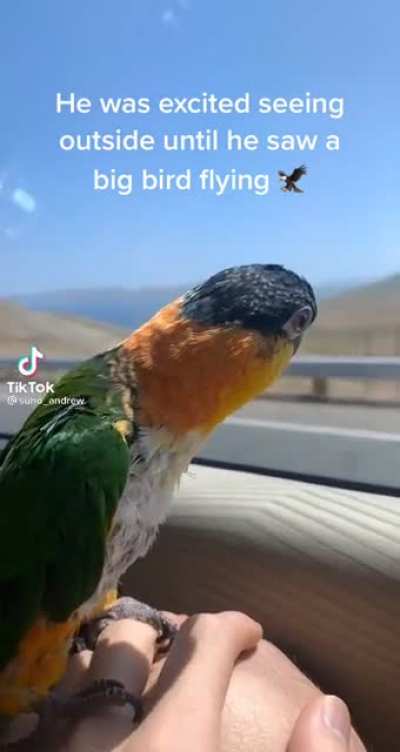 🦅