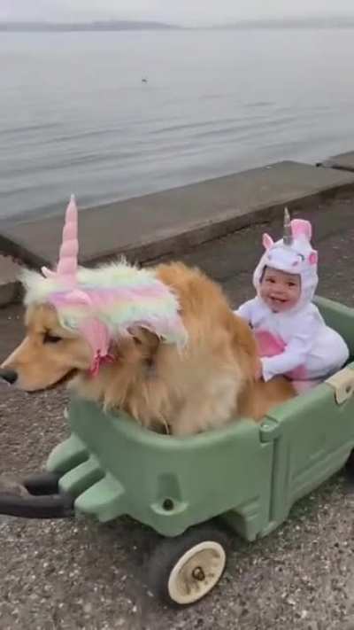 Look the baby unicorn is so happy