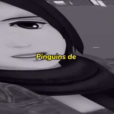 Video completo dos pinguins de madajaracadapalalacadascar
