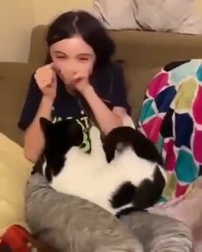 Please allow me to sit on your lap, hooman!
