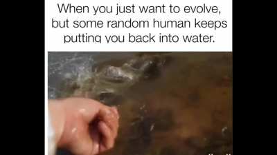 bitches stop breathin'