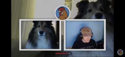 From an omegle yt video i watched by SomethingAboutChickens