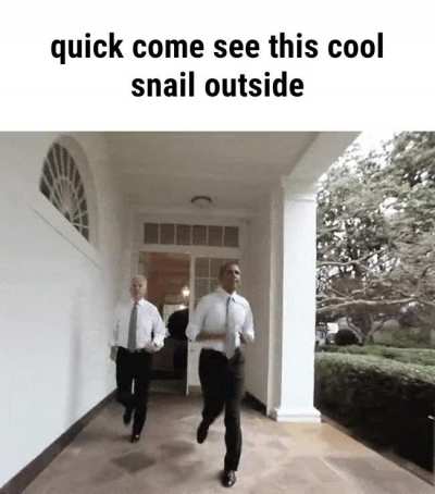 rule 🐌
