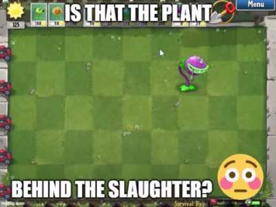 Chomper.mp4
