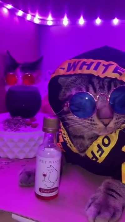 Relaxing in style