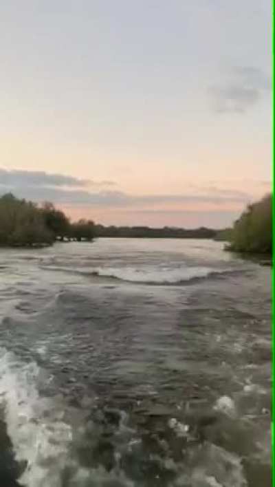 Hippos are fast and aggressive!!