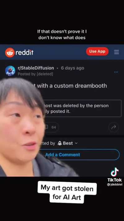 Redditor plagiarized somebody's art