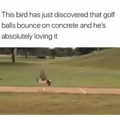 The wonders of bouncy things