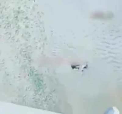 Woman Bungee Jumps, Falls Directly Into Water (Survived)