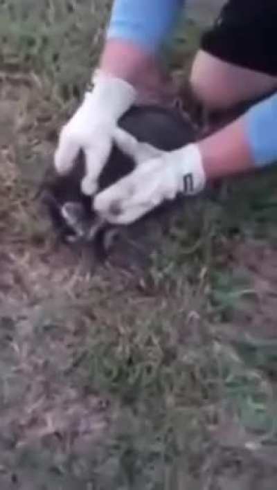 Little guy is rescued