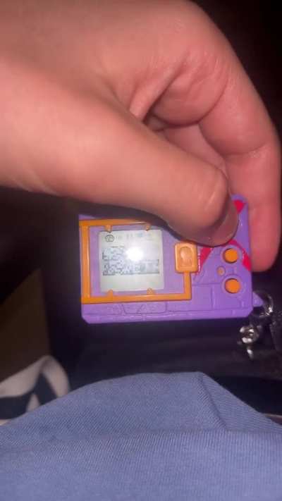 My digimon laid an egg and now idk what to do