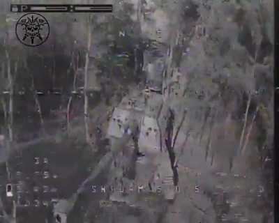 Ukrainian drone footage of another Russian 2S19 