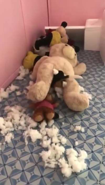 Help the poor kitty!!!