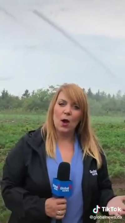 Just your typical farm report