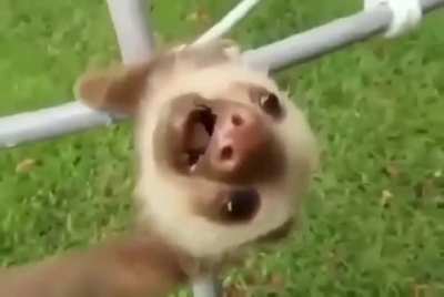 How I felt today