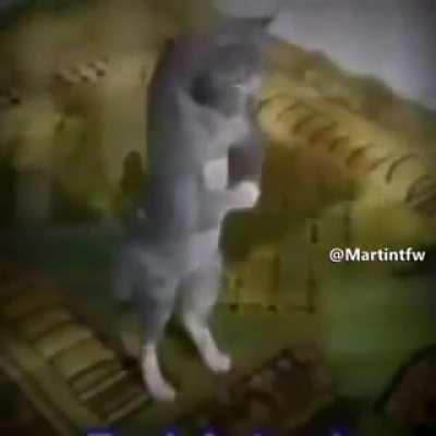 Faxs