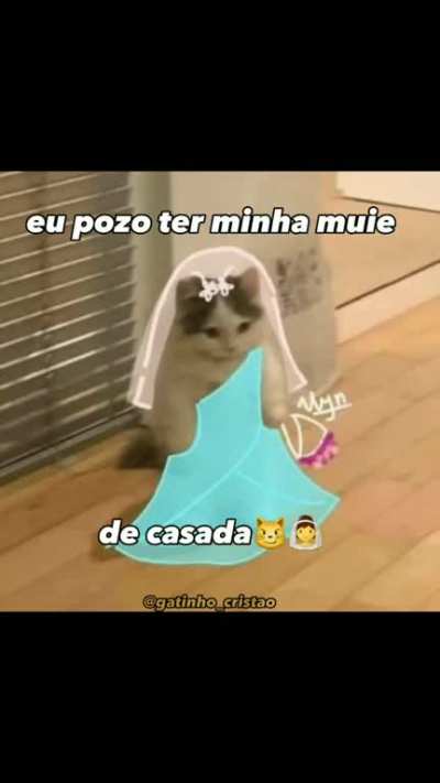 PODE 👍🏽