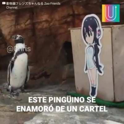 Que PUTO