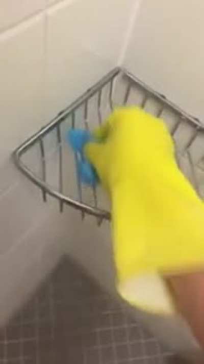 Spongestorm