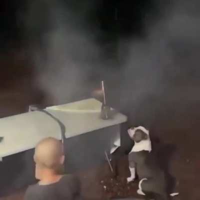 Jump.exe has crashed and requires debugging