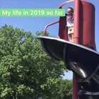 My life in 2019 so far. Please forgive my poor editing skills, I used splice tool for first time.