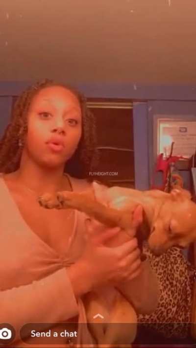The doggie is Geeked