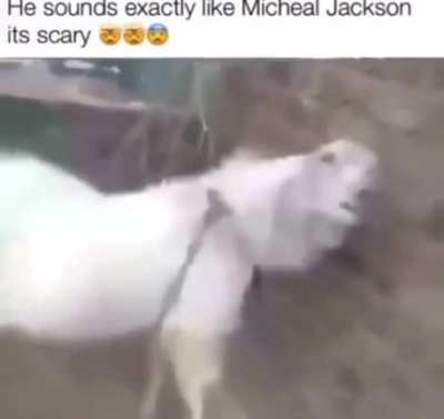 Rule 1