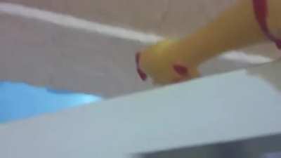 No pollito (‘◉⌓◉’)