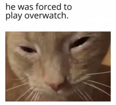 Somebody help him