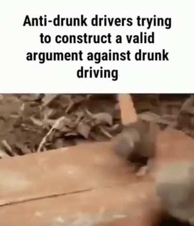 no officer the child was dead before i ran him over