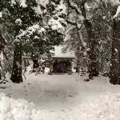Winter snow in Kyoto
