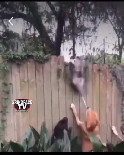 No Rats Allow 🐀