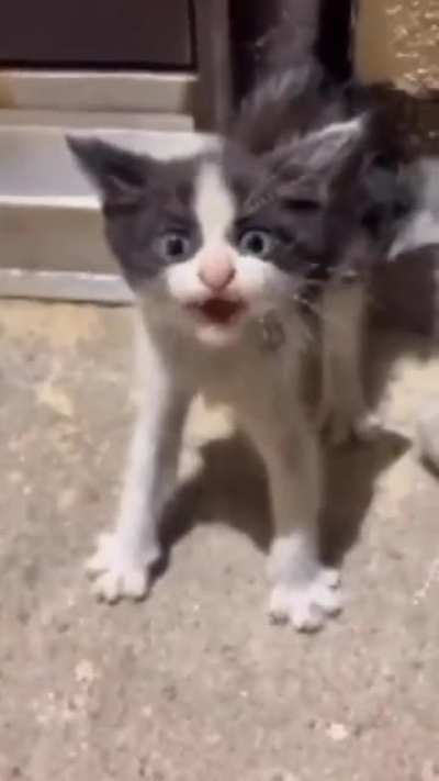 Hun?