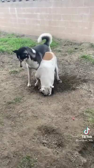 He tried to warn him so many times..