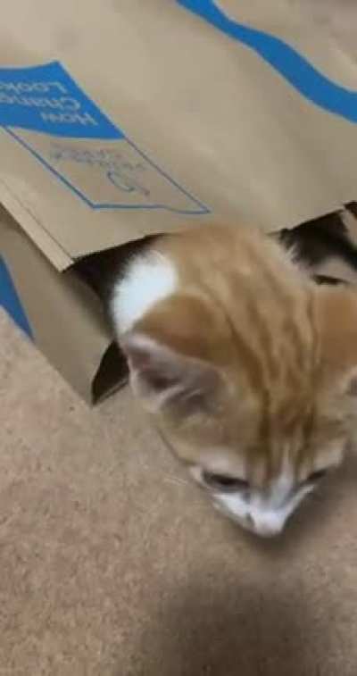Cute, but then