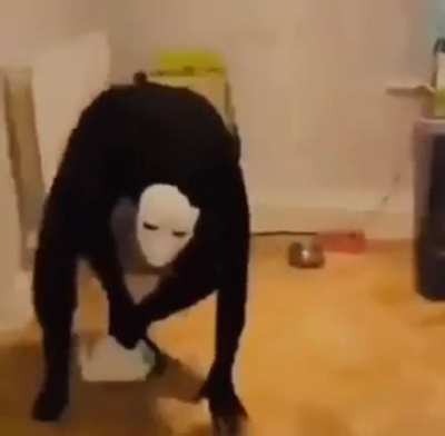 Bottle flip