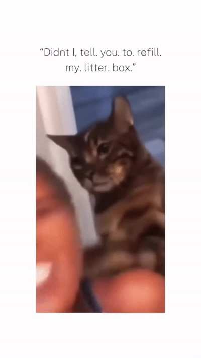Priorities hooman