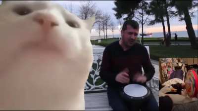 Duck can drum with the best!